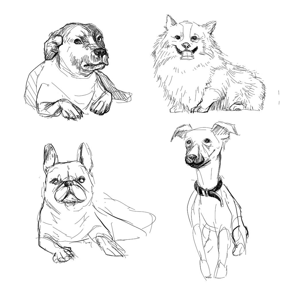 an illustration by Sabrina Arroyo